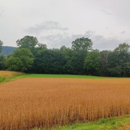Agriturismo Munarin Caterina Mioglia エクステリア 写真