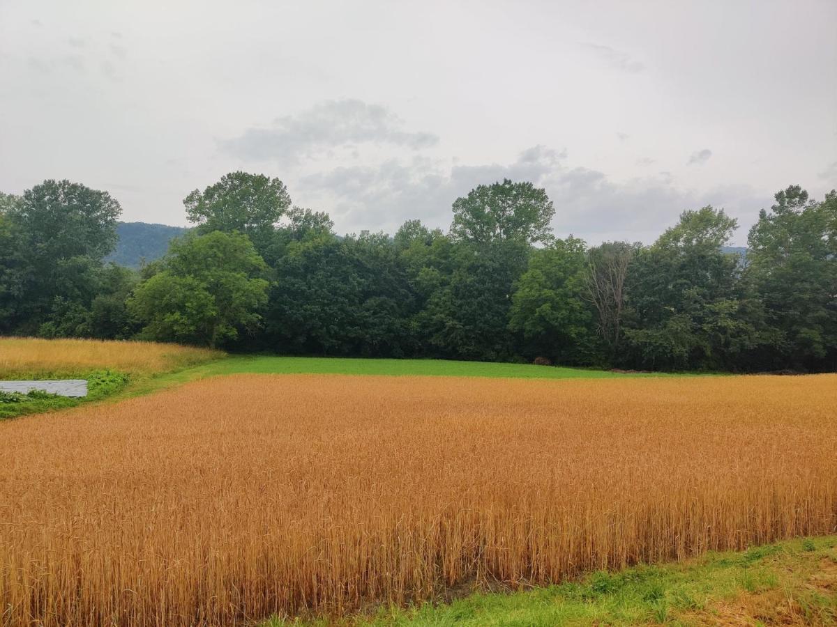 Agriturismo Munarin Caterina Mioglia エクステリア 写真