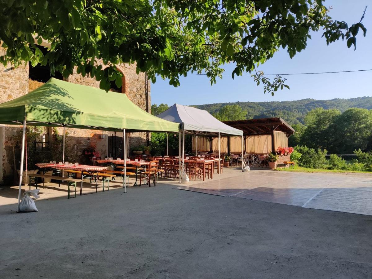 Agriturismo Munarin Caterina Mioglia エクステリア 写真